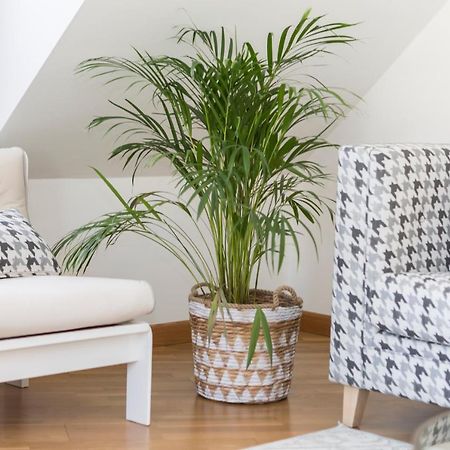 Apartamento Boutique Con Terraza Y Vistas Al Mar. Porto Vilanova Villanueva De Arosa Esterno foto